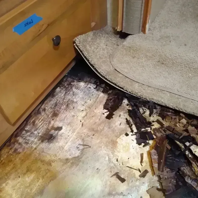 Wood Floor Water Damage in Talladega County, AL